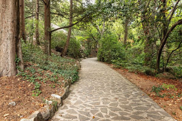 Stone Walkway Repair in Waco